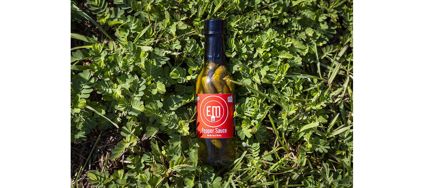 A glass bottle of pepper sauce was sitting in the grass bushes.